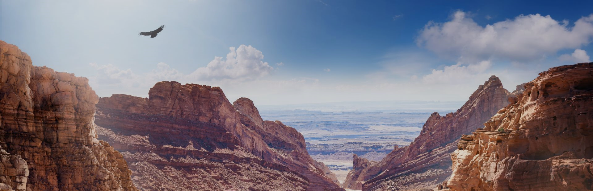 American Truck Simulator